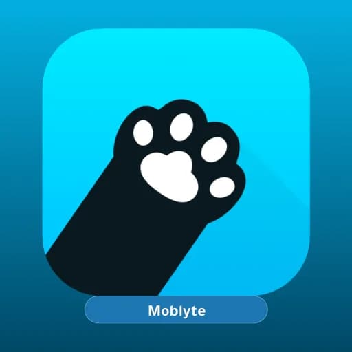 Pawxy VPN