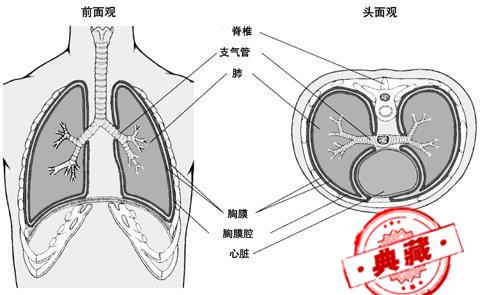 結核性胸膜炎的癥狀