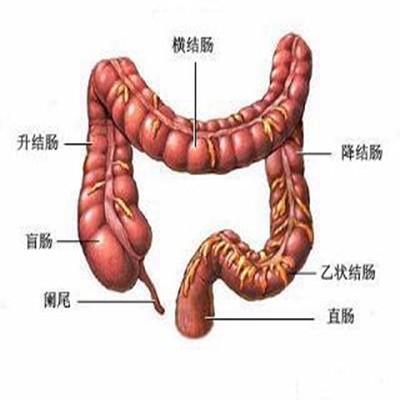 灌腸有什麼副作用