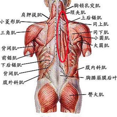 尿床是怎麼回事