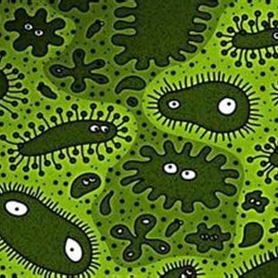 乙肝核心抗體是什麼