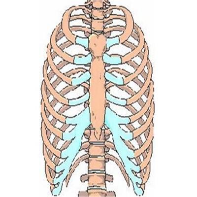 兩邊肋骨疼是怎麼回事