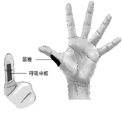 正確給老人做手部按摩方法