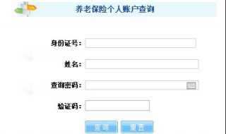 養老金怎麼查詢 如何查詢