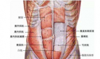 腹直肌分離怎麼練 3個方法有效鍛煉