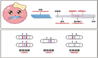 驗孕棒怎麼看 如何使用驗孕棒？