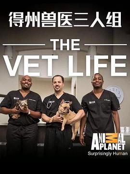 德州獸醫三人組 第一季 The Vet Life Season 1