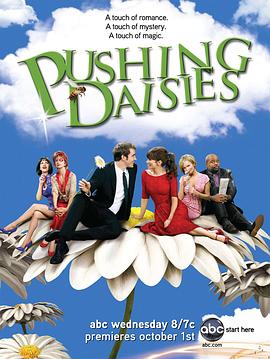 靈指神探 第二季 Pushing Daisies Season 2