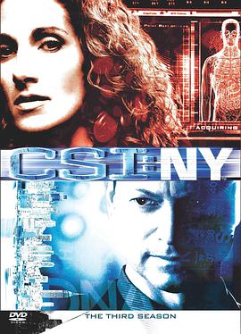 犯罪現場調查：紐約 第三季 CSI: NY Season 3