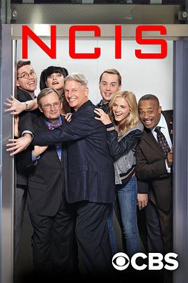 海軍罪案調查處 第十四季 NCIS: Naval Criminal Investigative Service Season 14