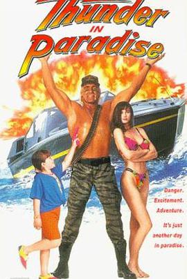 天堂的雷霆 Thunder in Paradise