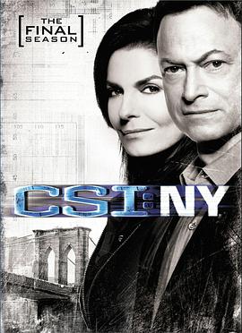 犯罪現場調查：紐約 第九季 CSI: NY Season 9