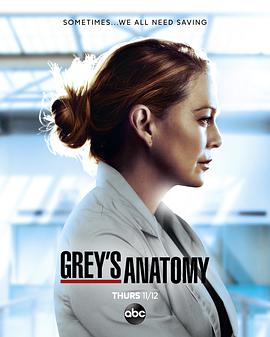 實習醫生格蕾 第十七季 Grey's Anatomy Season 17