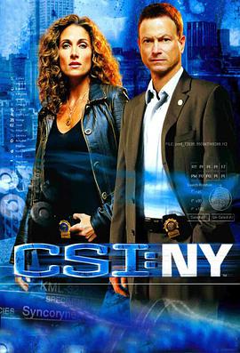 犯罪現場調查：紐約 第四季 CSI: NY Season 4
