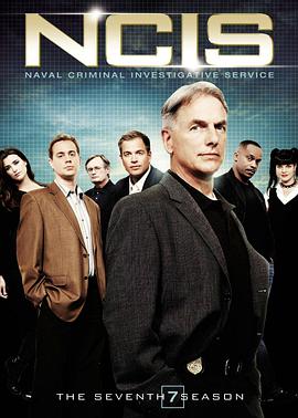海軍罪案調查處 第七季 NCIS: Naval Criminal Investigative Service Season 7