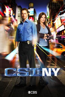 犯罪現場調查：紐約 第八季 CSI: NY Season 8