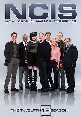 海軍罪案調查處 第十二季 NCIS: Naval Criminal Investigative Service Season 12