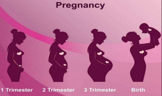 懷孕前三個月註意事項 你應該知道的註意事項