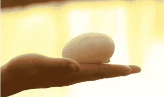 鵝蛋怎麼吃最營養 鵝蛋的做法有哪些