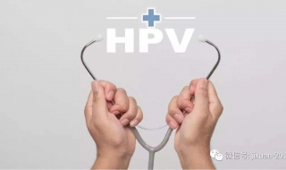 hpv是什麼 HPV的傳播途徑是什麼
