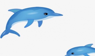 海豚 簡筆畫-海豚