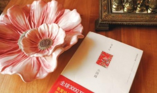 一本好書 怎麼樣去理解一本書？