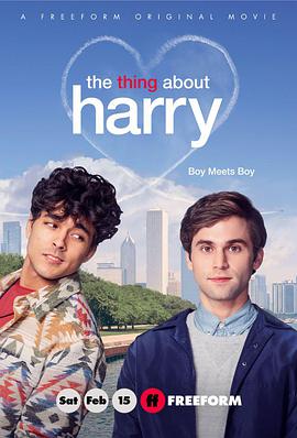 關於哈利的那些事 The Thing About Harry