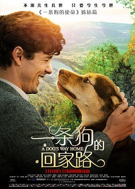 一條狗的回傢路 A Dog's Way Home