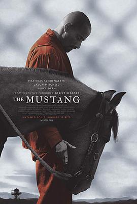 野馬 The Mustang