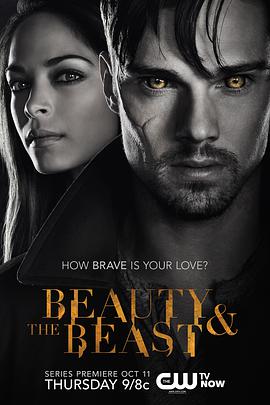 俠膽雄獅 第一季 Beauty and the Beast Season 1