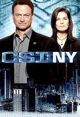 犯罪現場調查：紐約 第七季 CSI: NY Season 7