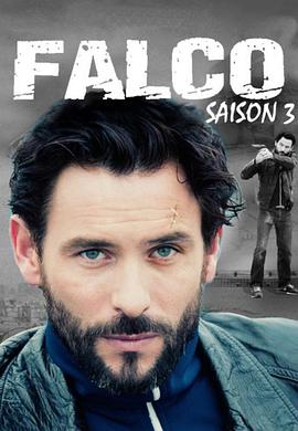最後的警察法國版 第三季 Falco Season 3