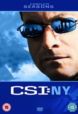 犯罪現場調查：紐約 第六季 CSI: NY Season 6