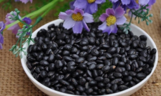 黑豆和黑蕓豆的區別有哪些 哪種營養價值高
