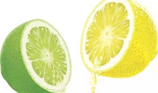 青檸檬和黃檸檬的區別 這三點你瞭解哪些