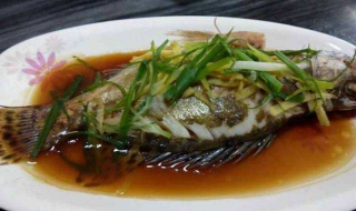 桂花魚的做法 桂花魚怎麼做好吃？