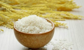 粳米和大米的區別有哪些 哪種米更好吃