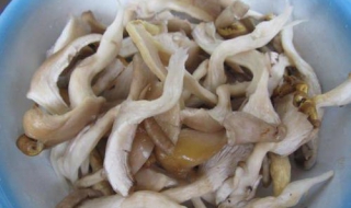 平菇的做法 平菇怎麼做好吃