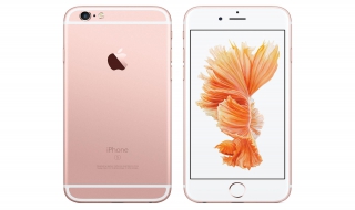 蘋果和iphone的區別 有什麼區別？