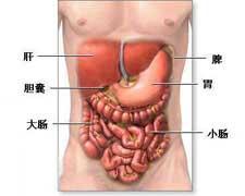 胃腸型食物中毒