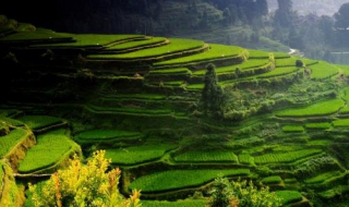 去貴州旅行怎麼樣 有哪些好玩的景點