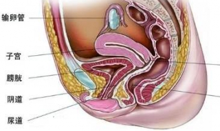 盆腔炎有什麼癥狀 下面就來說說常見的幾種
