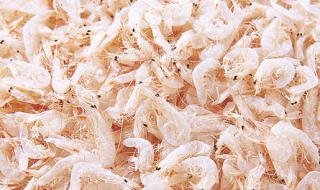 蝦米的營養價值及功效 帶你全方位瞭解