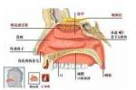 慢性鼻炎