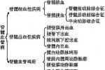 脊髓血管病