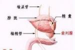 陰囊潮濕
