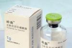 縱隔間葉源性腫瘤及其他腫瘤