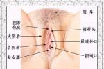 外陰瘙癢