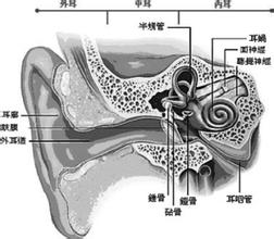 神經性耳聾
