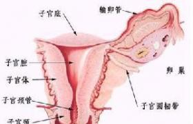 宮腔積膿